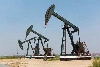 Giá dầu bật tăng 2% trước mối lo ngại về nguồn cung