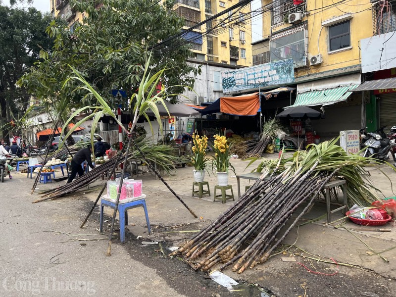Những cây mía lộc “đổ bộ” xuống phố chờ đón giao thừa Những cây mía lộc “đổ bộ” xuống phố chờ đón giao thừa