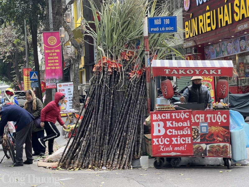 Những cây mía lộc “đổ bộ” xuống phố chờ đón giao thừa Những cây mía lộc “đổ bộ” xuống phố chờ đón giao thừa