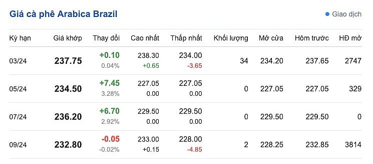 Giá cà phê mới nhất ngày 10/2/2024