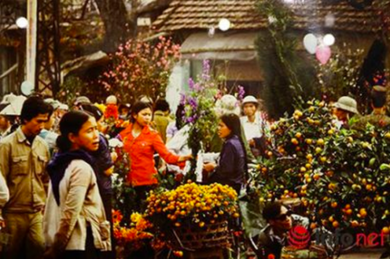 Hoài niệm Tết quê tôi! Hoài niệm Tết quê tôi!