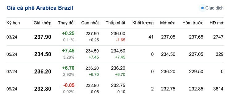 Giá cà phê mới nhất ngày 11/2/2024