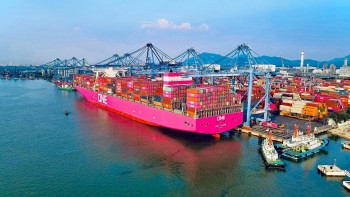 Xuất nhập khẩu nhộn nhịp những ngày đầu Xuân 2024