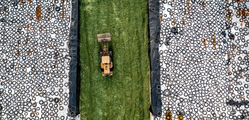 Lạm phát không quá lo, ưu tiên thúc đẩy tăng trưởng kinh tế Lạm phát không quá lo, ưu tiên thúc đẩy tăng trưởng kinh tế