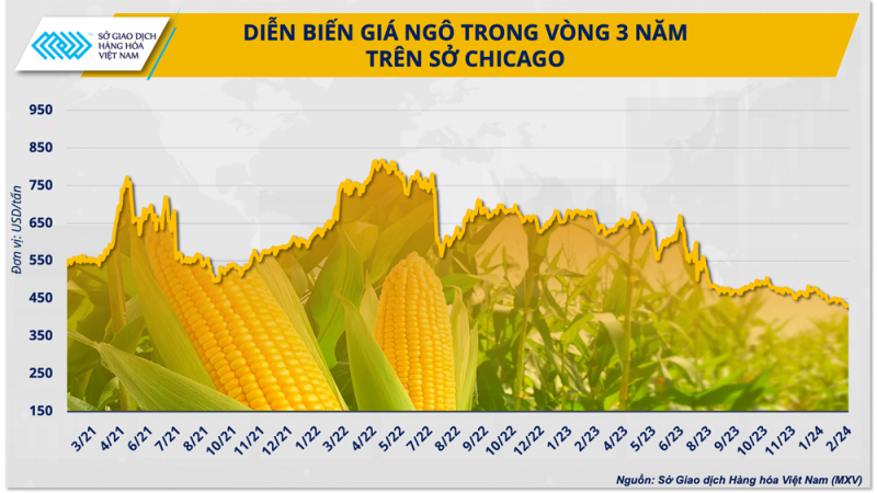 Doanh nghiệp thức ăn chăn nuôi trong bối cảnh giá nguyên liệu biến động không ngừng