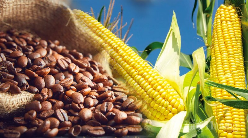 Thị trường hàng hóa hôm nay ngày 15/2/2024: Sắc đỏ trở lại thị trường hàng hóa nguyên liệu thế giới Thị trường hàng hóa hôm nay ngày 15/2/2024: Sắc đỏ trở lại thị trường hàng hóa nguyên liệu thế giới