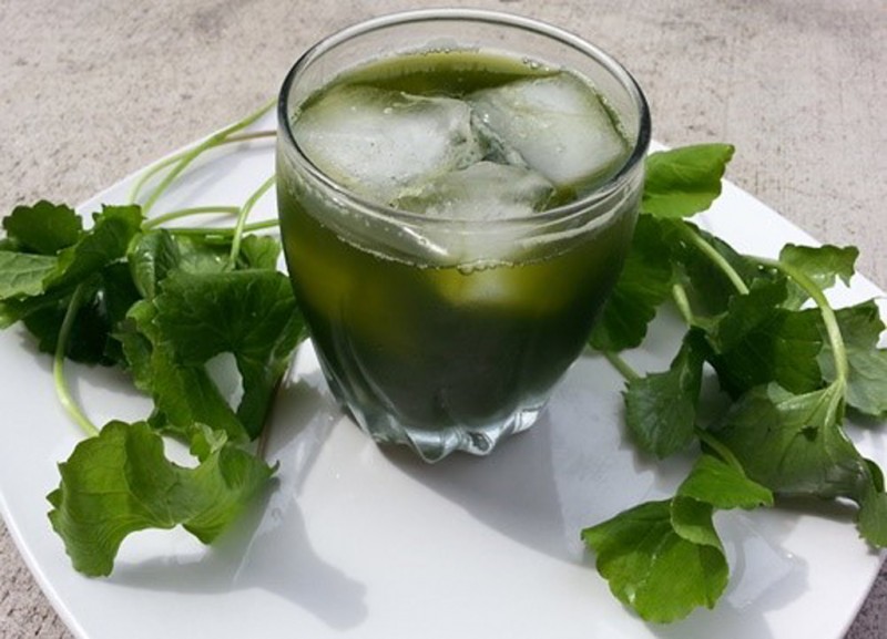 Dùng nước ép rau má riêng hoặc kết hợp rau má với mía đỏ nấu nước uống Dùng nước ép rau má riêng hoặc kết hợp rau má với mía đỏ nấu nước uống