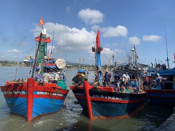 Phó Thủ tướng Trần Lưu Quang: Xử lý nghiêm, tuyệt đối không lơ là, chủ quan trong gỡ