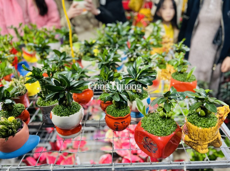 Nam Định: Biển người đổ về Phủ Dầy và chợ Viềng trong đêm