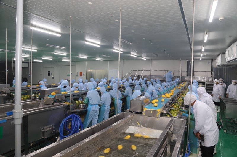 Lãnh đạo Tỉnh ủy Lâm Đồng thăm, kiểm tra hoạt động sản xuất, kinh doanh tại các doanh nghiệp trên địa bàn Lãnh đạo Tỉnh ủy Lâm Đồng thăm, kiểm tra hoạt động sản xuất, kinh doanh tại các doanh nghiệp trên địa bàn