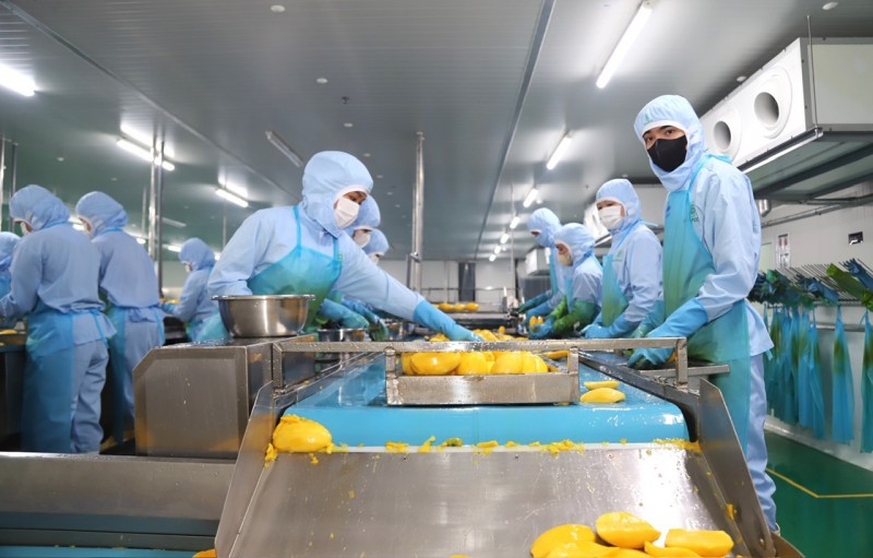 Tình hình quản lý, phát triển cụm công nghiệp tại tỉnh Lâm Đồng hiện nay ra sao? Tình hình quản lý, phát triển cụm công nghiệp tại tỉnh Lâm Đồng hiện nay ra sao?