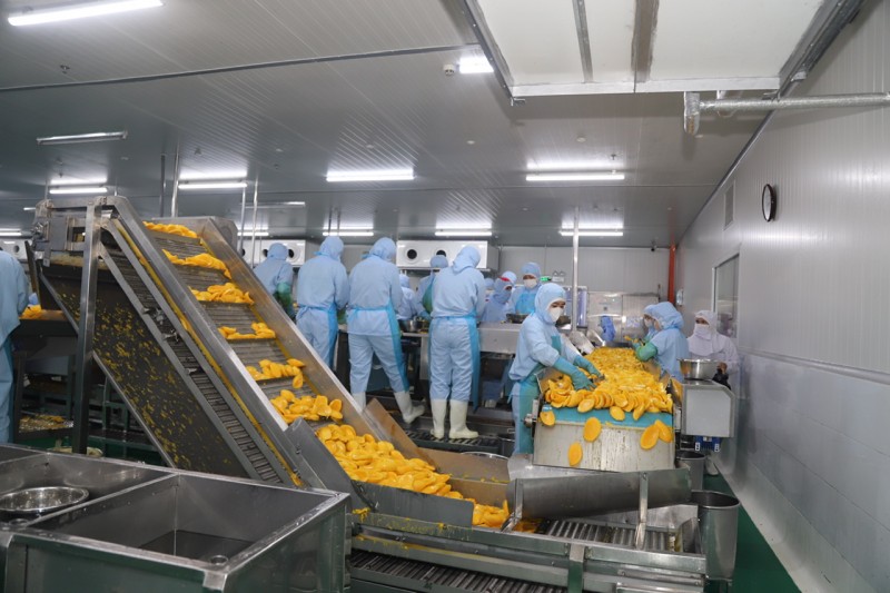 Lãnh đạo Tỉnh ủy Lâm Đồng thăm, kiểm tra hoạt động sản xuất, kinh doanh tại các doanh nghiệp trên địa bàn Lãnh đạo Tỉnh ủy Lâm Đồng thăm, kiểm tra hoạt động sản xuất, kinh doanh tại các doanh nghiệp trên địa bàn