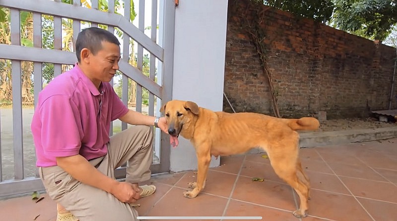 Từ tình yêu thiên nhiên đến hành trình truyền cảm hứng sống đẹp của một tiktoker Từ tình yêu thiên nhiên đến hành trình truyền cảm hứng sống đẹp của một tiktoker