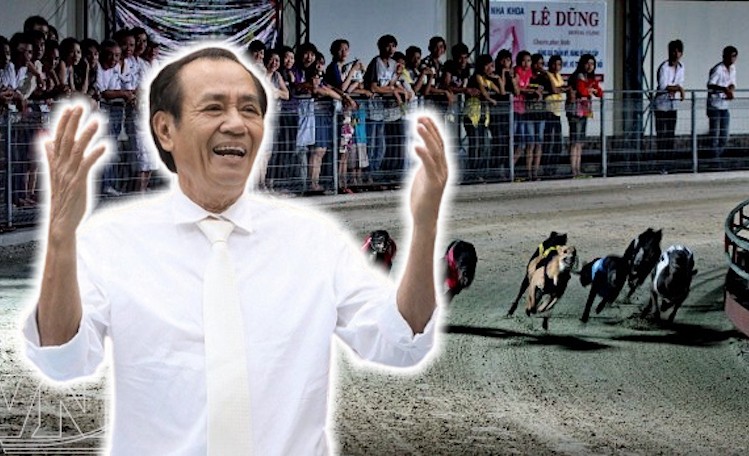 Doanh nhân Việt kiều nặng lòng với bộ môn đua chó giải trí ở quê hương Doanh nhân Việt kiều nặng lòng với bộ môn đua chó giải trí ở quê hương