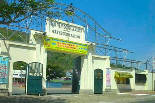 Doanh nhân Việt kiều nặng lòng với bộ môn đua chó giải trí ở quê hương Doanh nhân Việt kiều nặng lòng với bộ môn đua chó giải trí ở quê hương