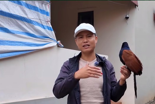 Từ tình yêu thiên nhiên đến hành trình truyền cảm hứng sống đẹp của tiktoker Quế Nghịch Từ tình yêu thiên nhiên đến hành trình truyền cảm hứng sống đẹp của tiktoker Quế Nghịch