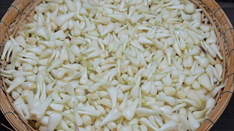 Ảnh minh họa Ảnh minh họa