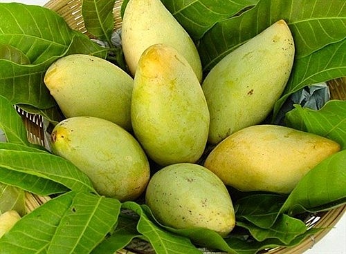Xuất khẩu nông sản sang Hàn Quốc cần lưu ý quy định mới Xuất khẩu nông sản sang Hàn Quốc cần lưu ý quy định mới