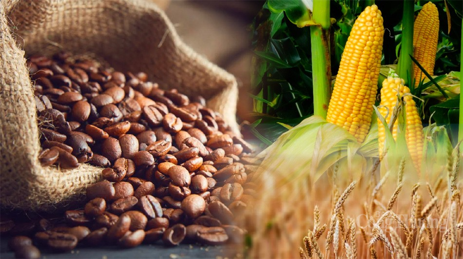 Thị trường hàng hóa hôm nay ngày 23/2: Giá hàng hóa nguyên liệu thế giới diễn biến phân hóa