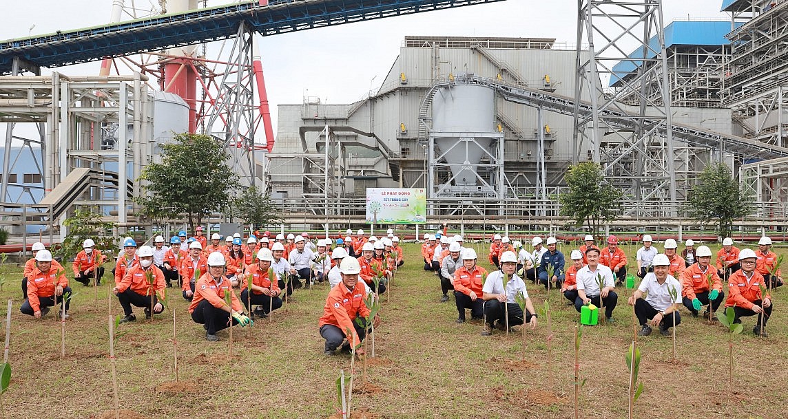 Nhiều đơn vị thuộc EVN tổ chức Tết trồng cây 2024 Nhiều đơn vị thuộc EVN tổ chức Tết trồng cây 2024