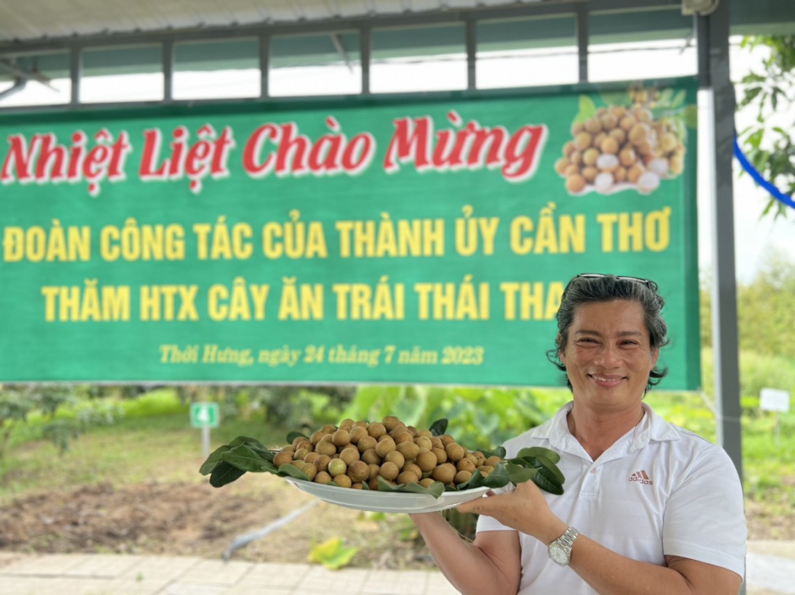 Tỷ phú miền Tây kể chuyện bén duyên, làm giàu với trái thanh nhãn