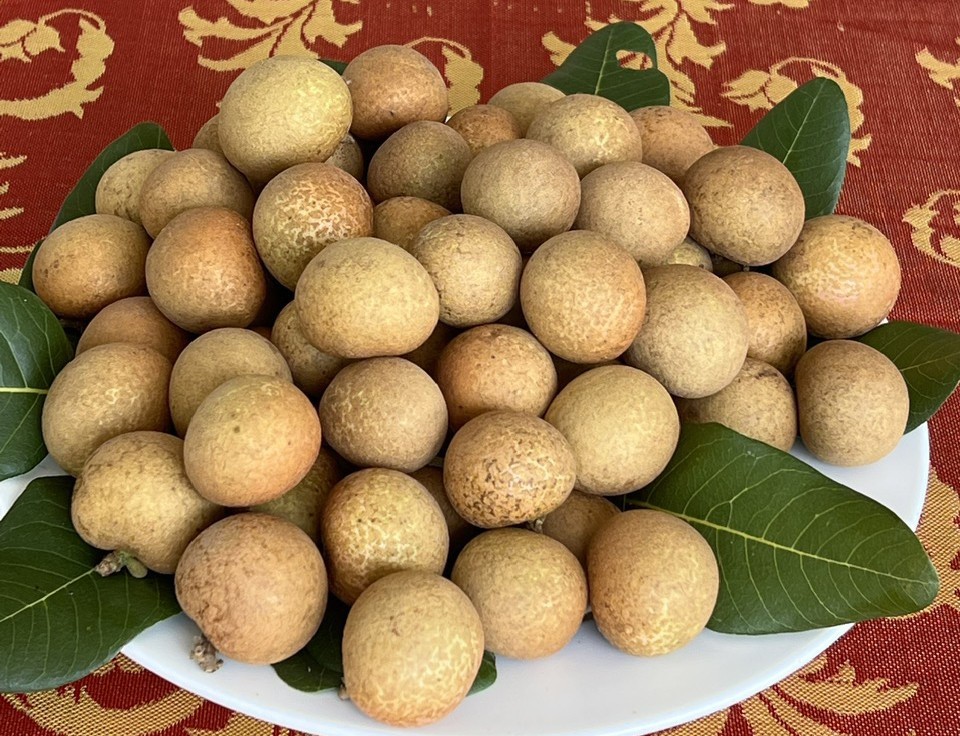 Tỷ phú miền Tây kể chuyện bén duyên, làm giàu với trái thanh nhãn