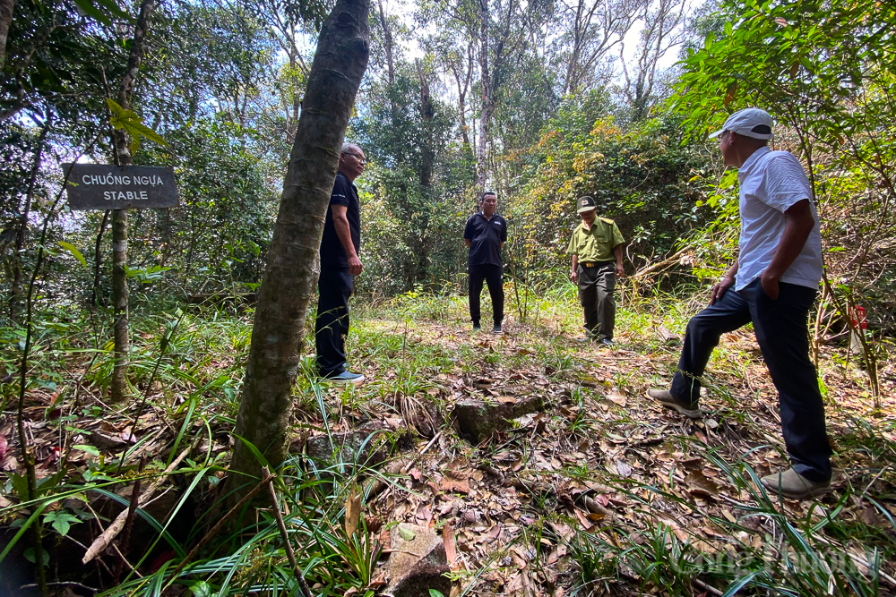 Rêu phong Di tích lịch sử quốc gia trên đỉnh núi Hòn Bà Rêu phong Di tích lịch sử quốc gia trên đỉnh núi Hòn Bà