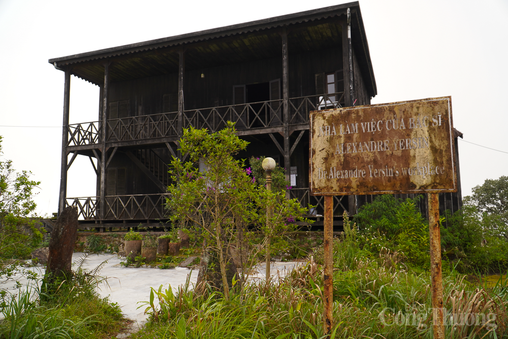 Rêu phong Di tích lịch sử quốc gia trên đỉnh núi Hòn Bà Rêu phong Di tích lịch sử quốc gia trên đỉnh núi Hòn Bà