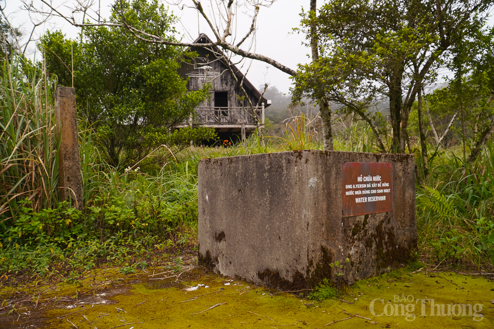 Rêu phong Di tích lịch sử quốc gia trên đỉnh núi Hòn Bà Rêu phong Di tích lịch sử quốc gia trên đỉnh núi Hòn Bà