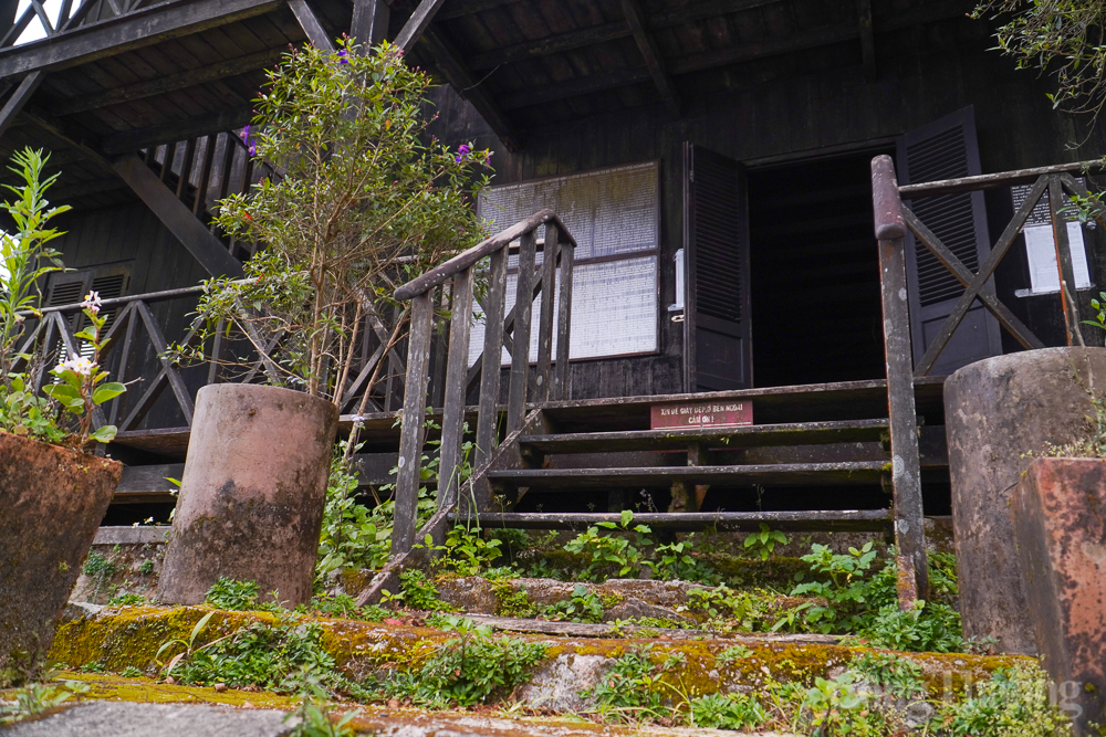 Rêu phong Di tích lịch sử quốc gia trên đỉnh núi Hòn Bà Rêu phong Di tích lịch sử quốc gia trên đỉnh núi Hòn Bà