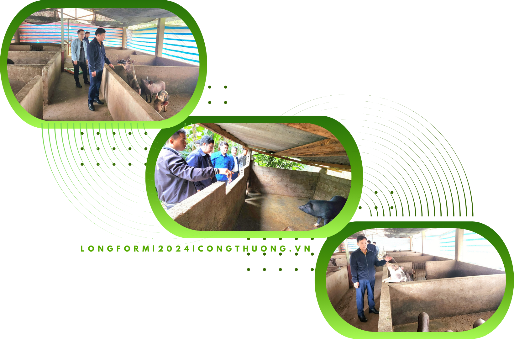 Longform | Bài cuối: Phát huy tốt vai trò tiên phong, gương mẫu của Đảng viên Longform | Bài cuối: Phát huy tốt vai trò tiên phong, gương mẫu của Đảng viên