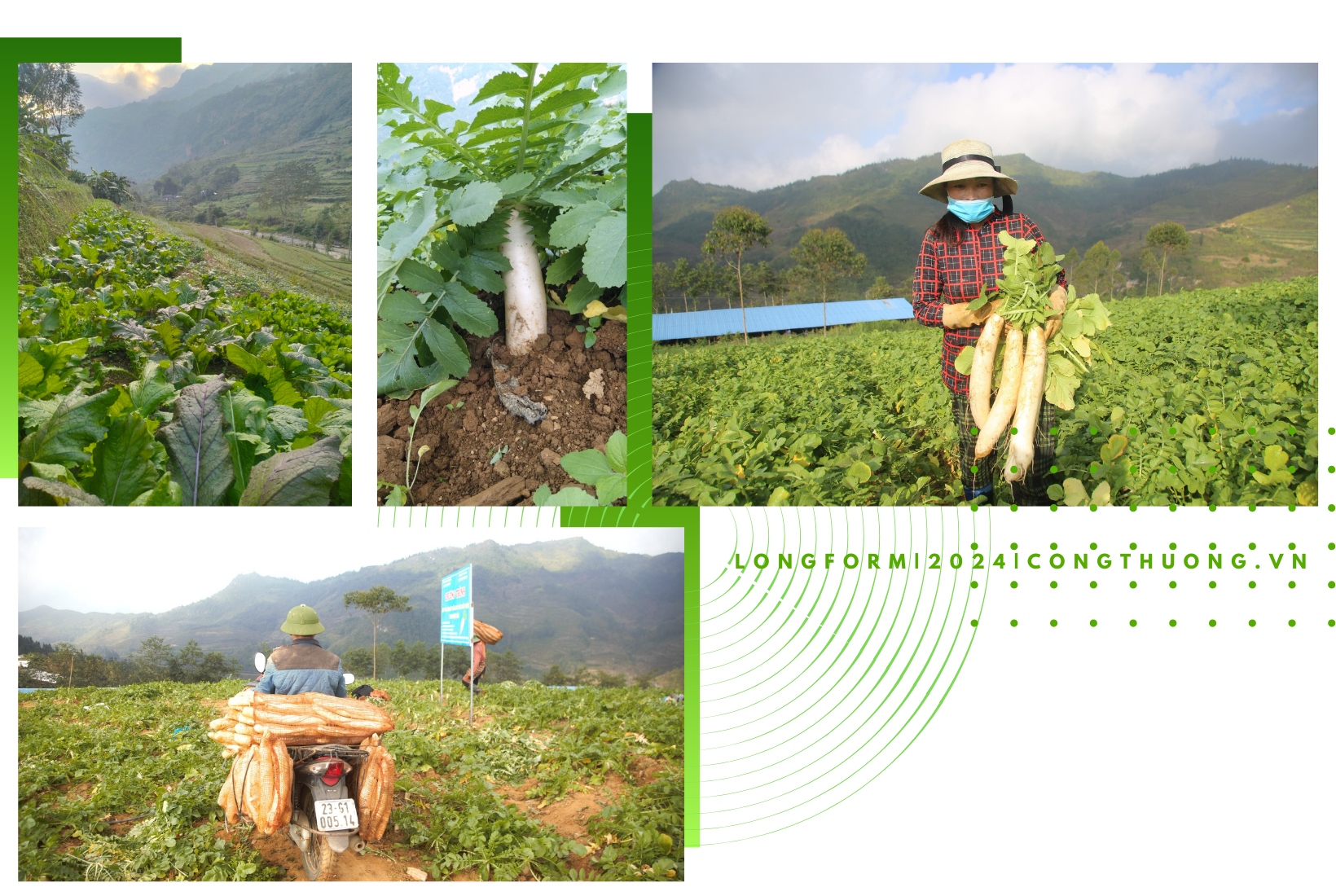 Longform | Bài cuối: Phát huy tốt vai trò tiên phong, gương mẫu của Đảng viên Longform | Bài cuối: Phát huy tốt vai trò tiên phong, gương mẫu của Đảng viên