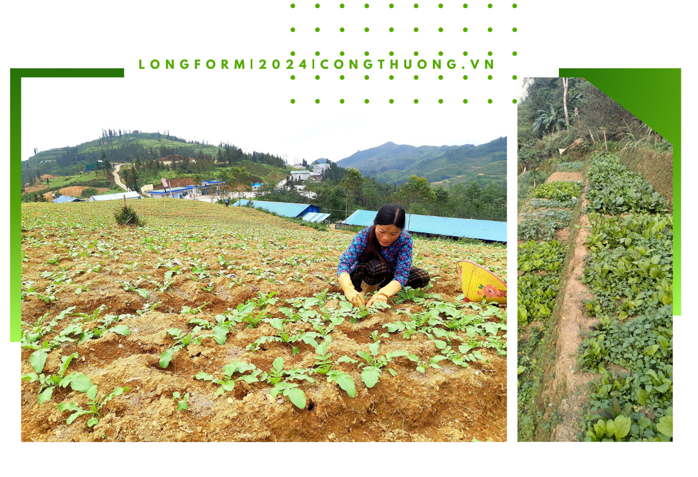 Longform | Bài cuối: Phát huy tốt vai trò tiên phong, gương mẫu của Đảng viên Longform | Bài cuối: Phát huy tốt vai trò tiên phong, gương mẫu của Đảng viên