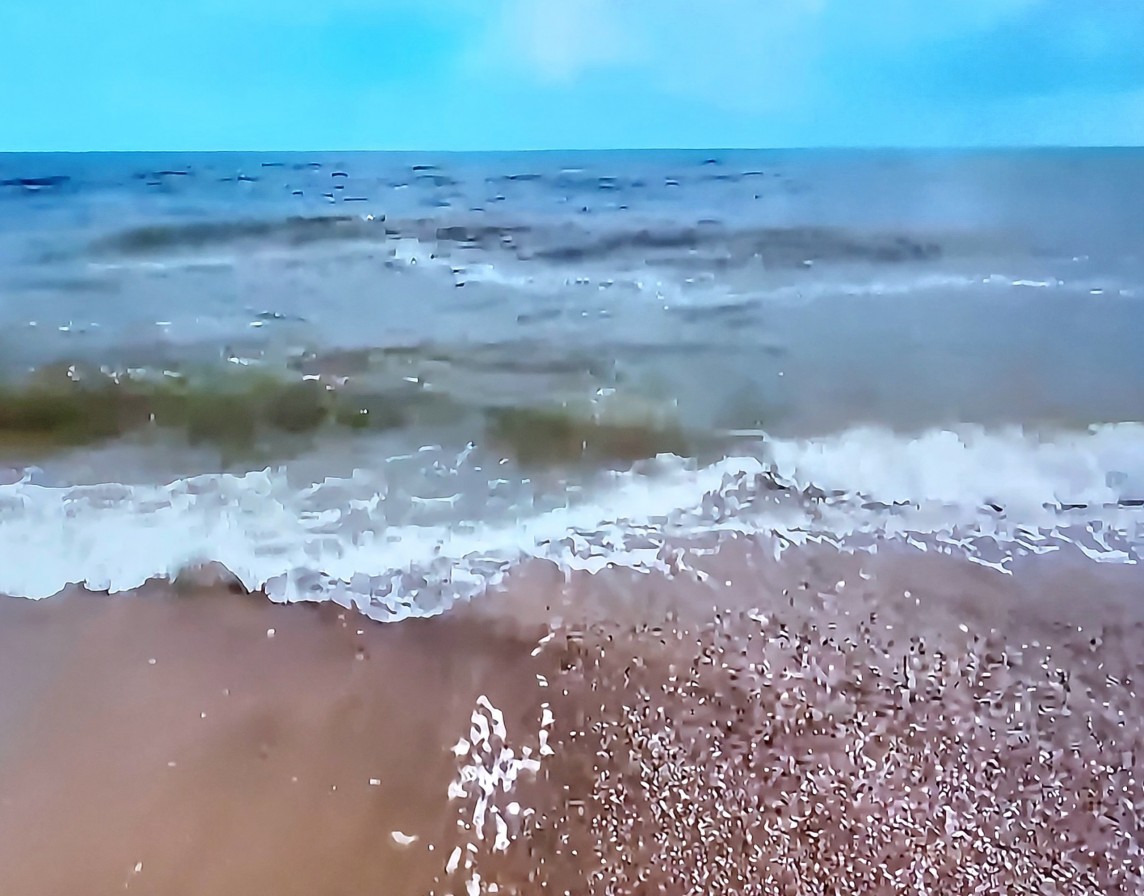 Dự báo thời tiết biển hôm nay 26/2/2024: ….. Dự báo thời tiết biển hôm nay 26/2/2024: …..