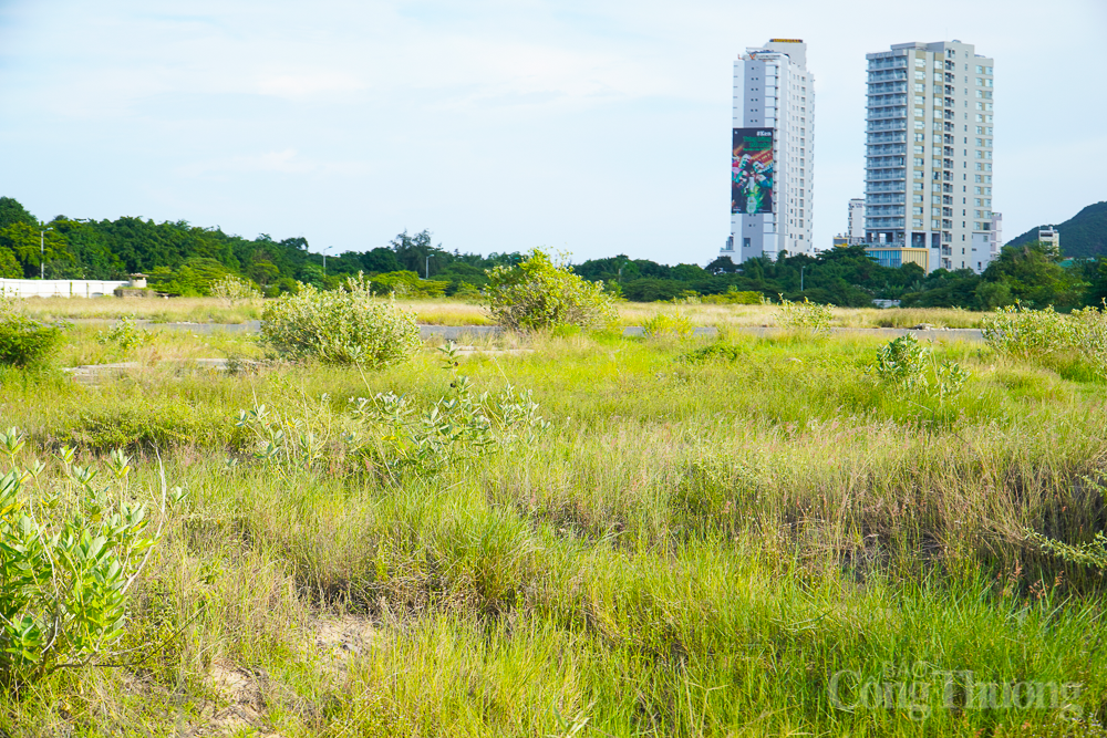 Hiện trạng các lô 'đất vàng' ở sân bay Nha Trang của Tập đoàn Phúc Sơn Hiện trạng các lô 'đất vàng' ở sân bay Nha Trang của Tập đoàn Phúc Sơn