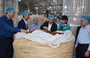 Yên Bái tiếp tục cải thiện môi trường thu hút đầu tư