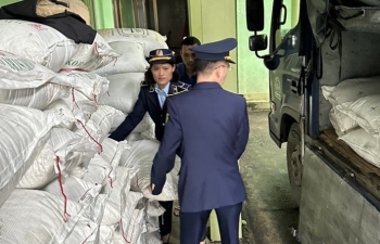 Nghệ An: Tạm giữ 3 tấn đường trắng không có hóa đơn chứng từ hợp lệ