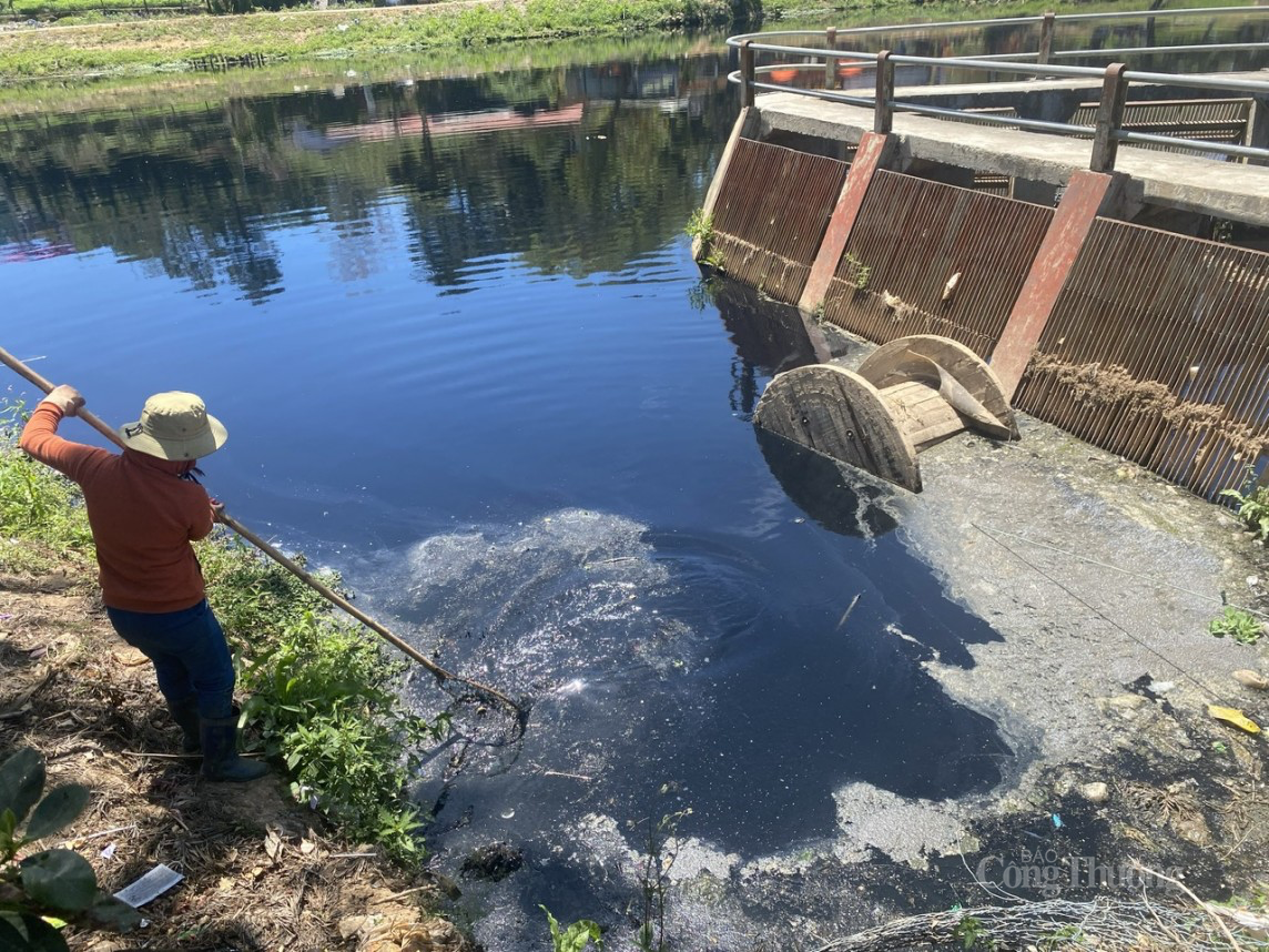 Lâm Đồng: Ô nhiễm nghiêm trọng tại các hồ lắng xung quanh hồ Xuân Hương Đà Lạt Lâm Đồng: Ô nhiễm nghiêm trọng tại các hồ lắng xung quanh hồ Xuân Hương Đà Lạt