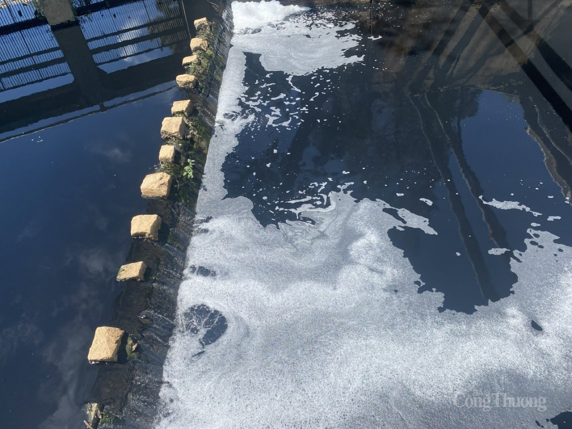 Lâm Đồng: Ô nhiễm nghiêm trọng tại các hồ lắng xung quanh hồ Xuân Hương Đà Lạt Lâm Đồng: Ô nhiễm nghiêm trọng tại các hồ lắng xung quanh hồ Xuân Hương Đà Lạt