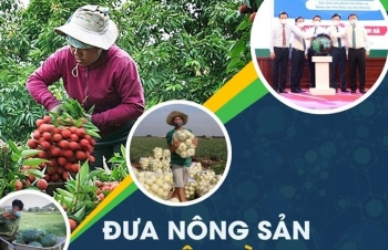 Thanh Hóa: Chuyển đổi số trong xây dựng nông thôn mới, hướng tới nông thôn mới thông minh, hiện đại