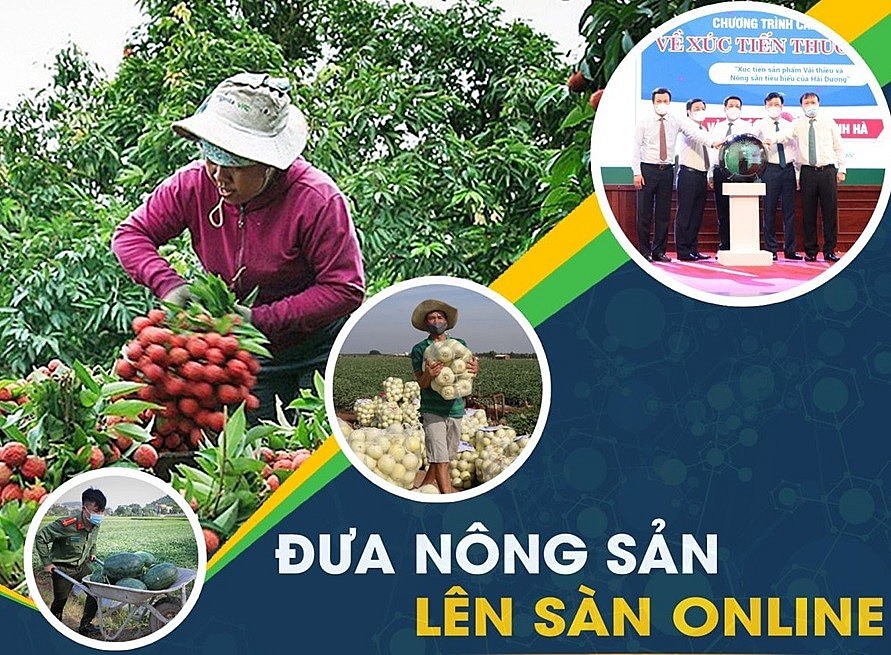 Thanh Hóa: Chuyển đổi số trong xây dựng nông thôn mới, hướng tới nông thôn mới thông minh hiện đại Thanh Hóa: Chuyển đổi số trong xây dựng nông thôn mới, hướng tới nông thôn mới thông minh hiện đại