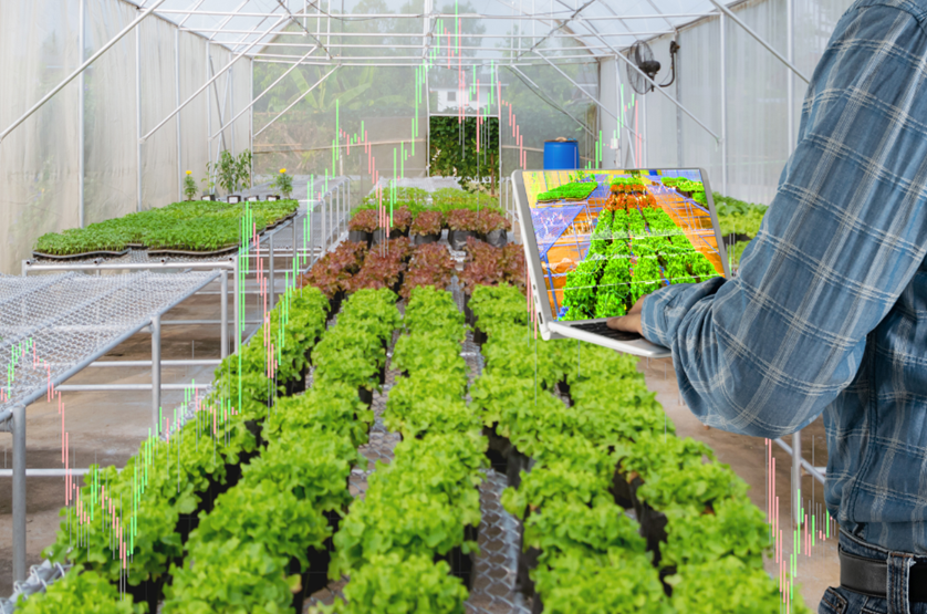 Thanh Hóa: Chuyển đổi số trong xây dựng nông thôn mới, hướng tới nông thôn mới thông minh hiện đại Thanh Hóa: Chuyển đổi số trong xây dựng nông thôn mới, hướng tới nông thôn mới thông minh hiện đại