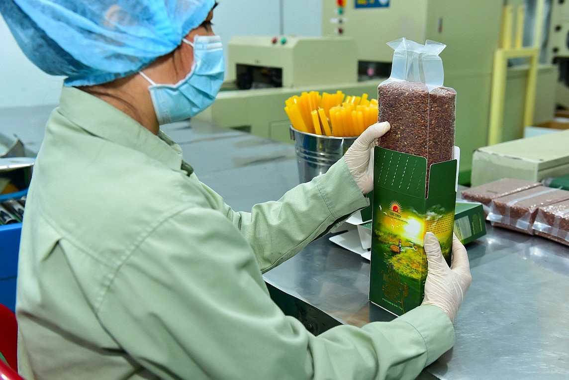 Đường dài cho xuất khẩu gạo: Bài cuối - Xây dựng thương hiệu, nâng cao giá trị cho toàn chuỗi Đường dài cho xuất khẩu gạo: Bài cuối - Xây dựng thương hiệu, nâng cao giá trị cho toàn chuỗi