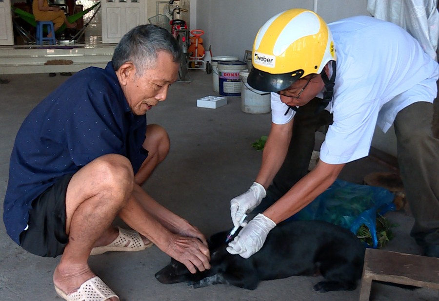 Người dân cần tuân thủ pháp luật về việc tiêm vắc xin phòng bệnh Dại cho chó, mèo nuôi. Người dân cần tuân thủ pháp luật về việc tiêm vắc xin phòng bệnh Dại cho chó, mèo nuôi.