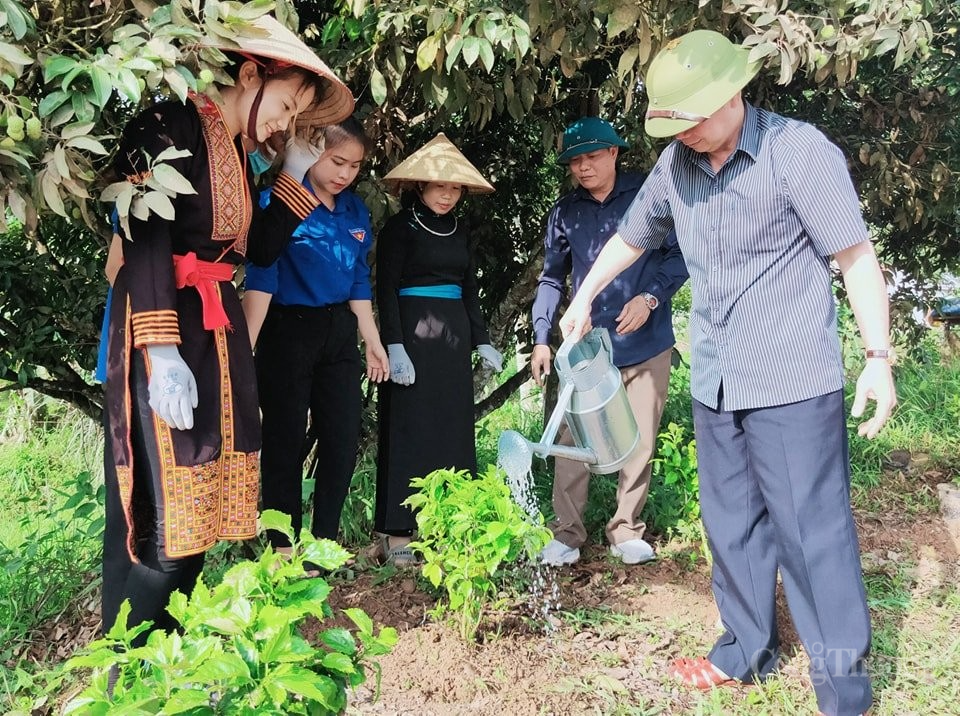 Phát triển huyện Ba Chẽ thành trung tâm dược liệu tỉnh Quảng Ninh Phát triển huyện Ba Chẽ thành trung tâm dược liệu tỉnh Quảng Ninh