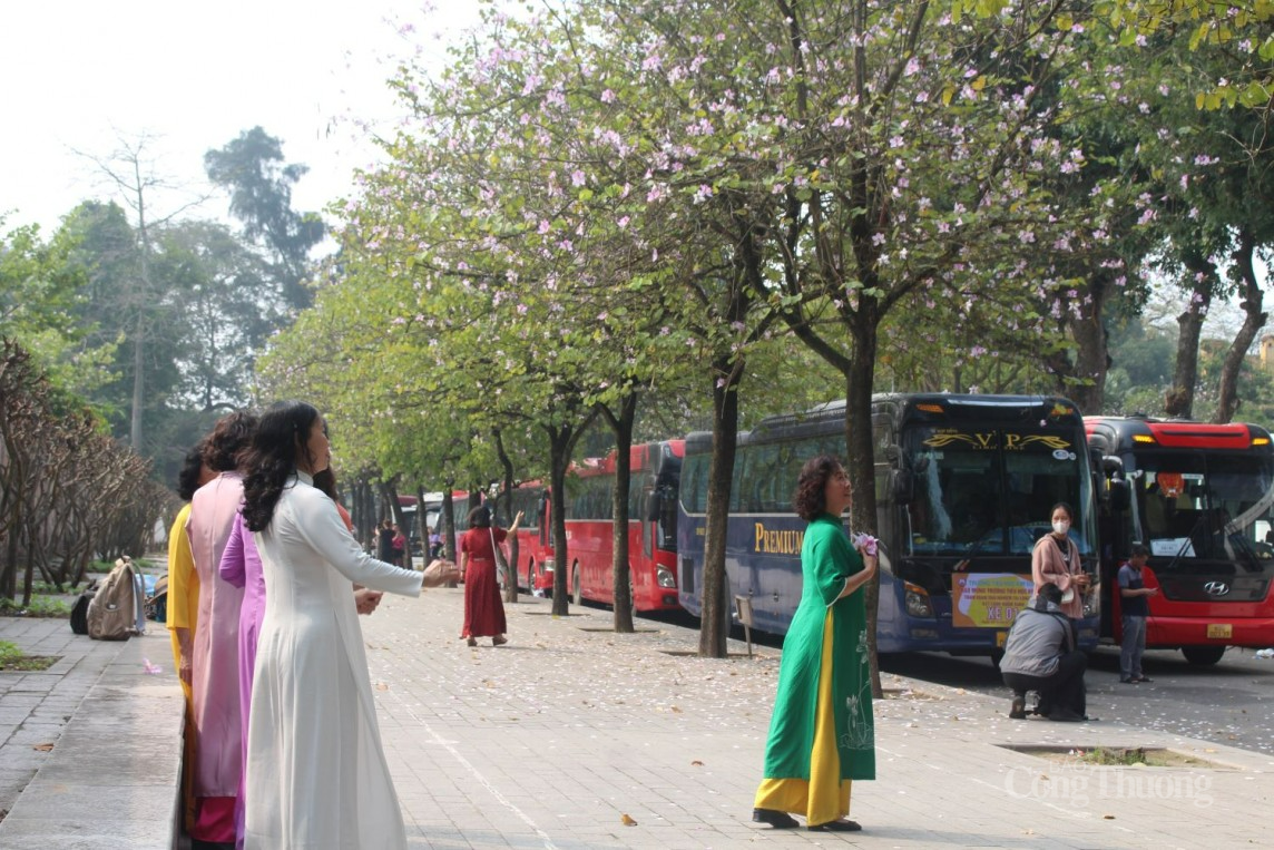 Hà Nội: Dịch vụ ăn theo "hốt bạc" trên phố hoa ban Hà Nội: Dịch vụ ăn theo "hốt bạc" trên phố hoa ban