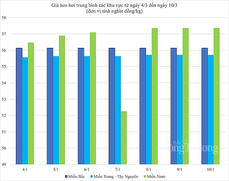 biến động giá heo hơi biến động giá heo hơi