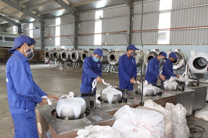 Công nhân Công ty Cổ phần Đầu tư Phát triển chè Tam Đường chế biến chè ô long. Ảnh: Nguyễn Oanh Công nhân Công ty Cổ phần Đầu tư Phát triển chè Tam Đường chế biến chè ô long. Ảnh: Nguyễn Oanh