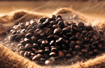 Giá cà phê mới nhất ngày 12/3/2024: Thị trường cà phê trong nước tăng 600 – 700 đồng/kg