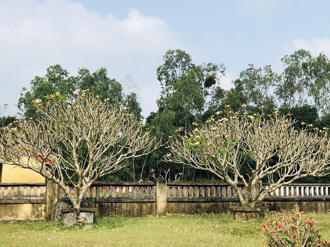 Dấu tích của 2 vương triều ở Bình Định Dấu tích của 2 vương triều ở Bình Định